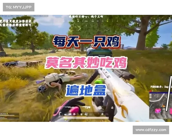 迷你吃鸡战:超小内存火爆战场 迷你吃鸡战:超小内存火爆战场